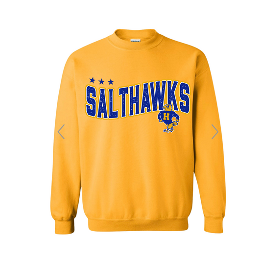 Salthawks Blue Font Distressed